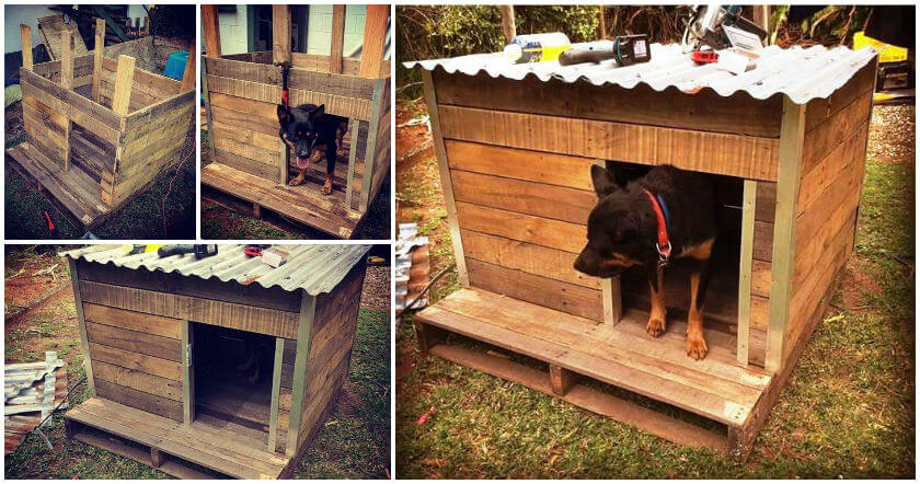 Rustic Pallet Dog House - Easy Pallet Ideas